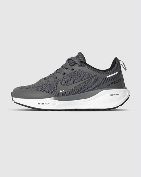Zoom pegasus