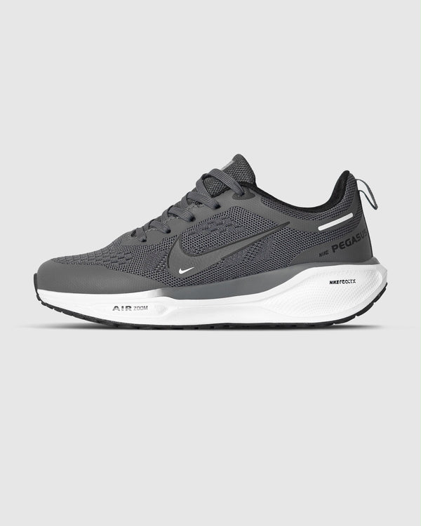 Zoom pegasus