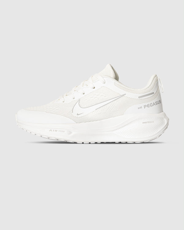 Zoom pegasus