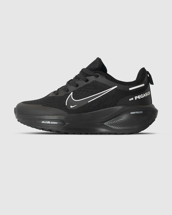 Zoom pegasus
